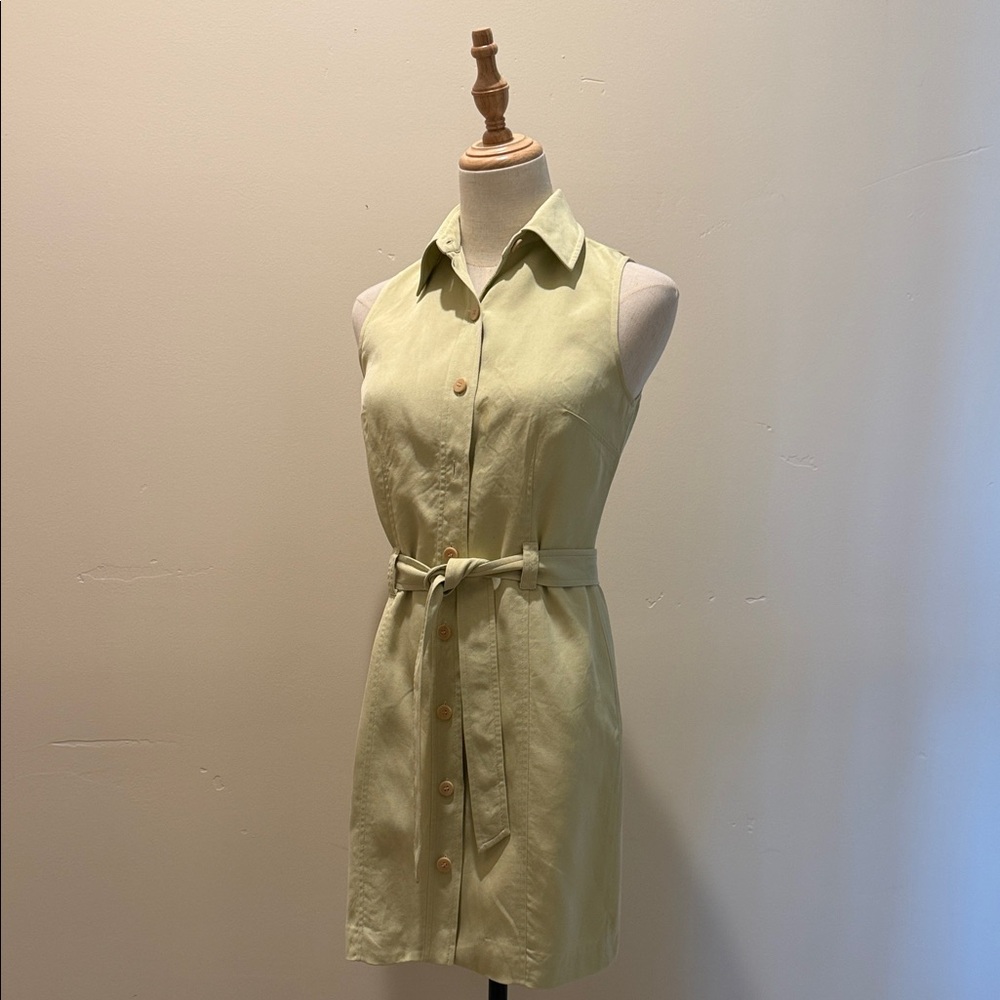 Vintage Ann Taylor Loft silk green front button midi dress